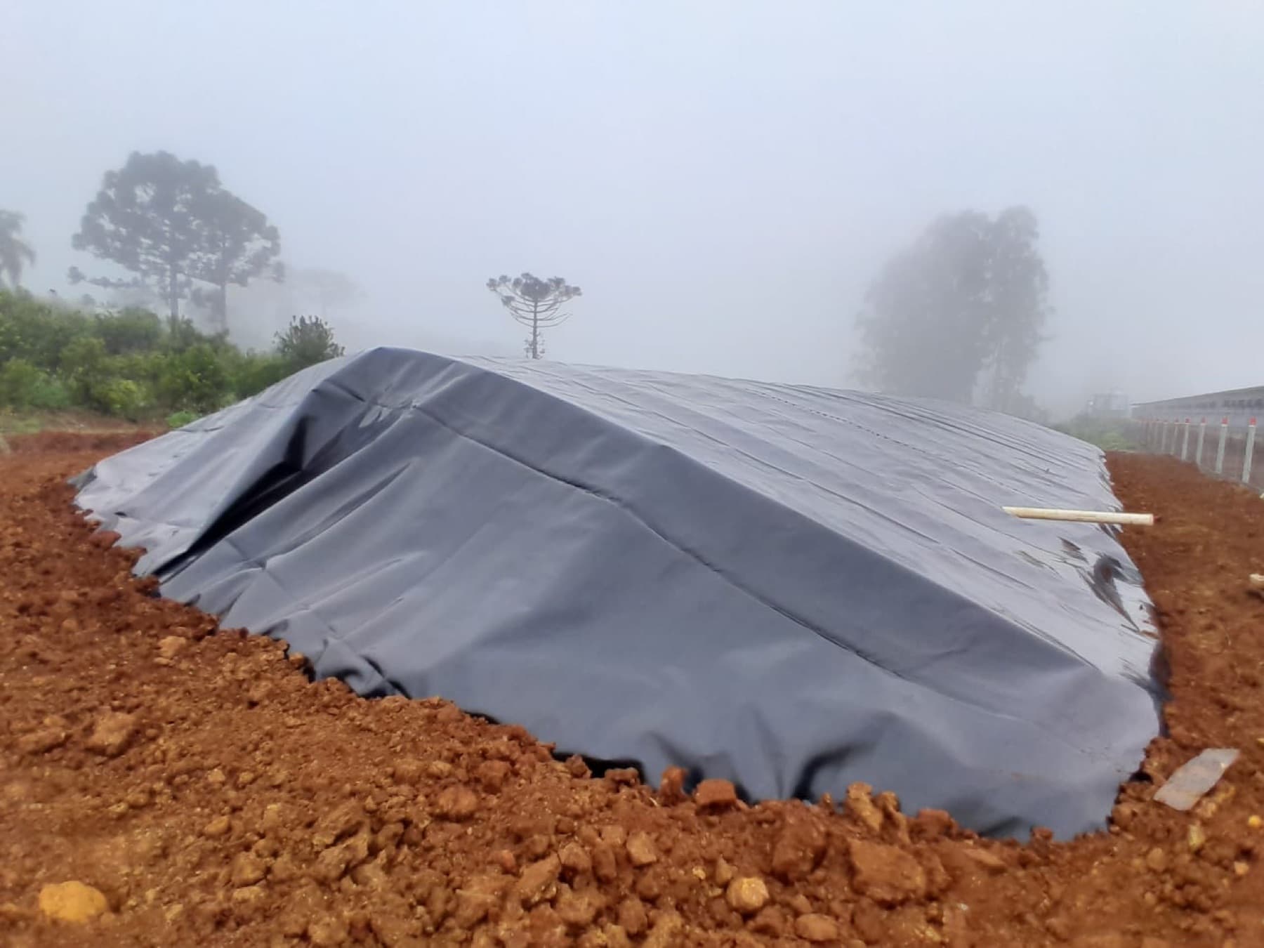 Project field record: Cisterns 11