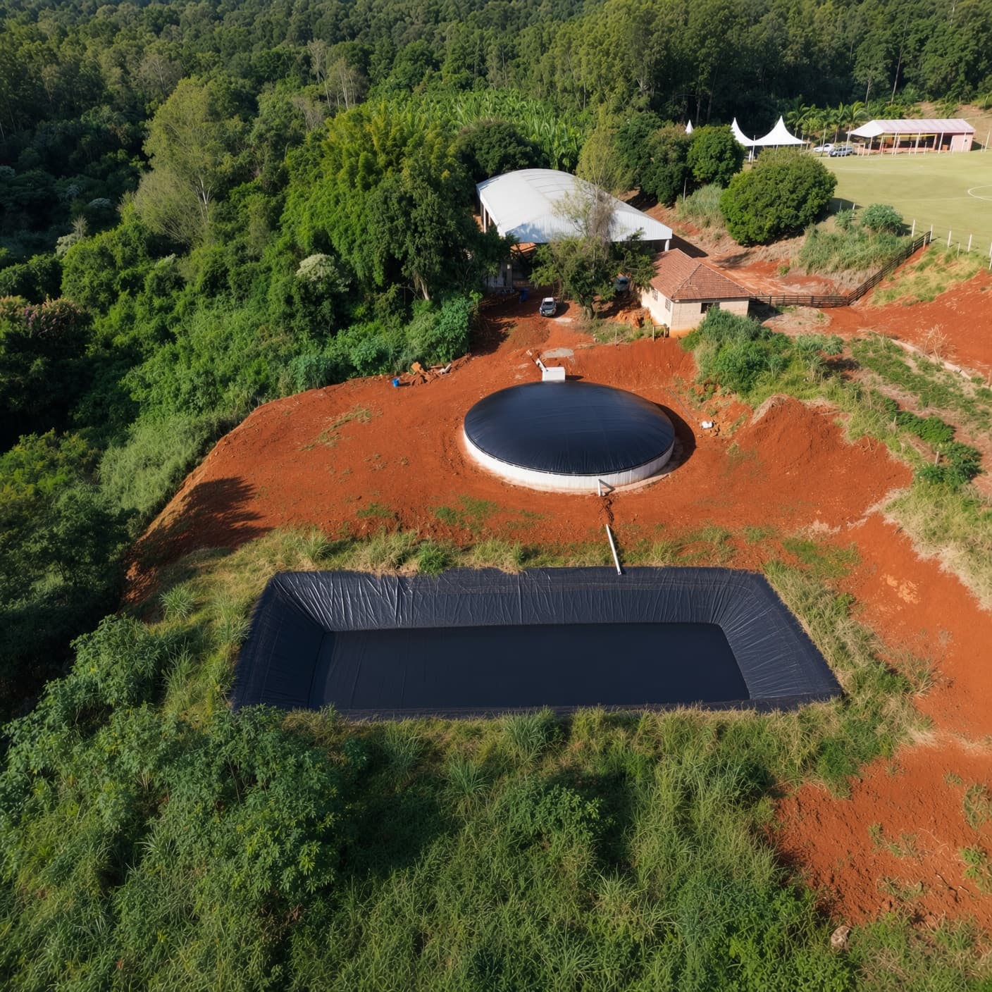 Biodigestores
