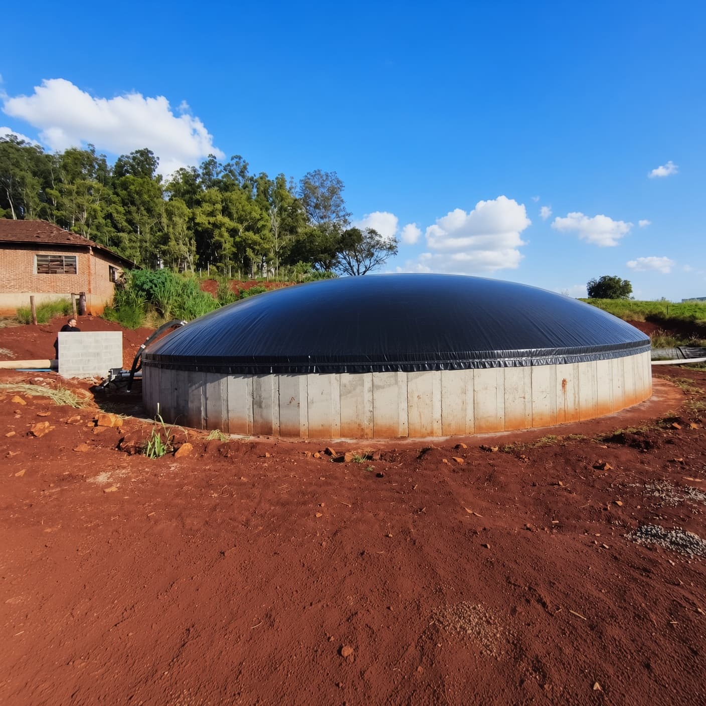 Biodigestores